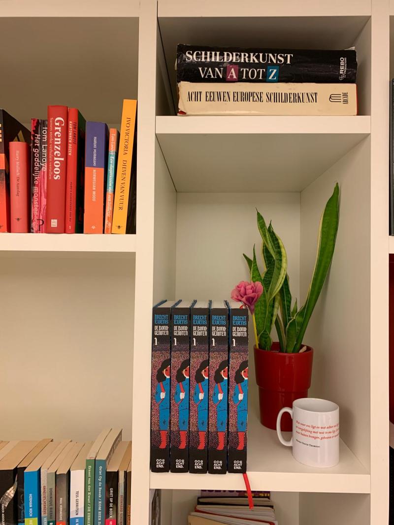 Een kast met boeken, een plant en een mok