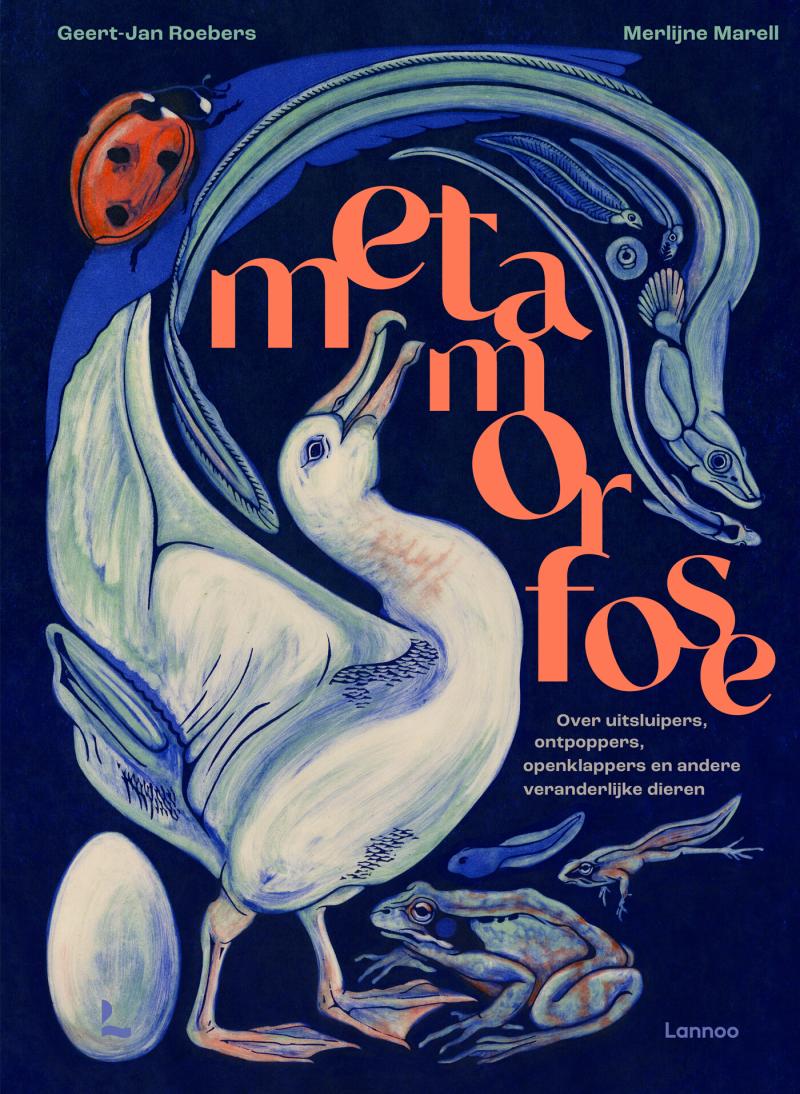 ‘Metamorfose’